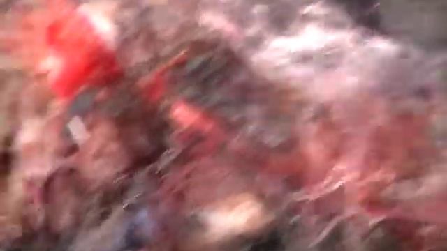 Свиная чума кубань,горы,лес смотреть онлайн