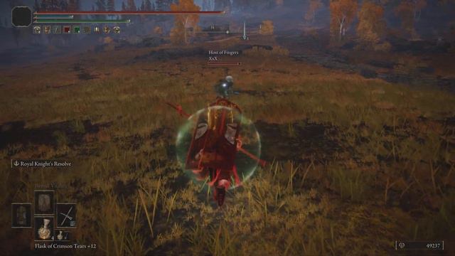 ELDEN RING Stars of ruin after patch 1.06 смотреть онлайн
