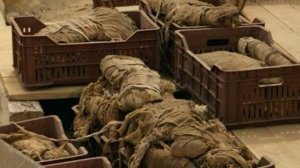 Проклятие богини Бастет. Мистика и история.