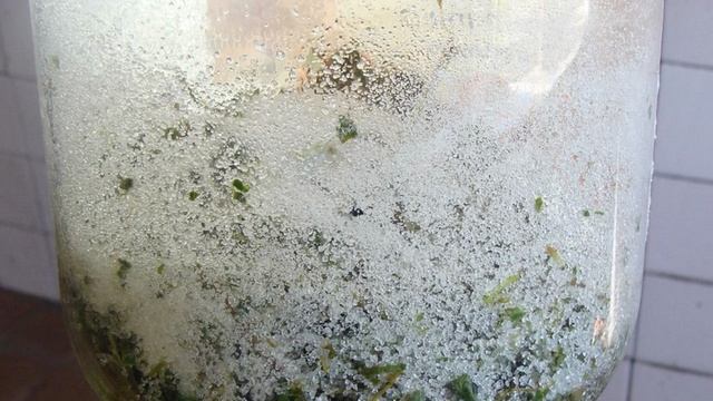 Рецепты от шеф-повара