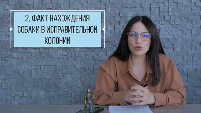 Как выиграть суд с государством? Истребование имущества из чужого незаконного владения смотреть онлайн