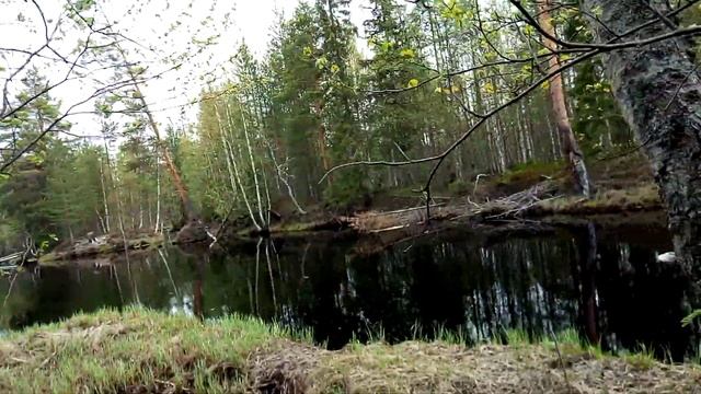 Нора бобра смотреть онлайн