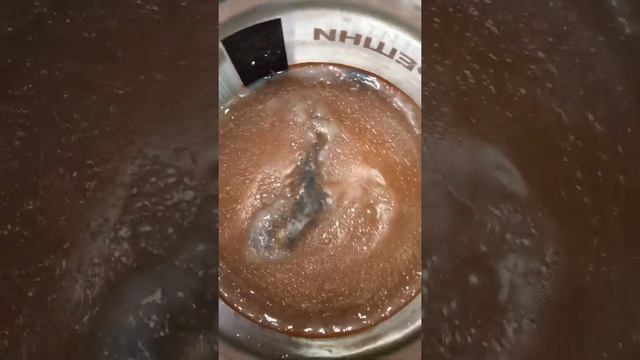 Чайный гриб с нуля растёт смотреть онлайн