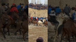 бузкаши деваштич далийони боло давлат 27 01 24 🇹🇯🇰🇿🇺🇿👍