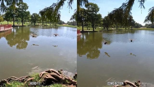 GoPro Hero 11 vs DJI Action 1 смотреть онлайн