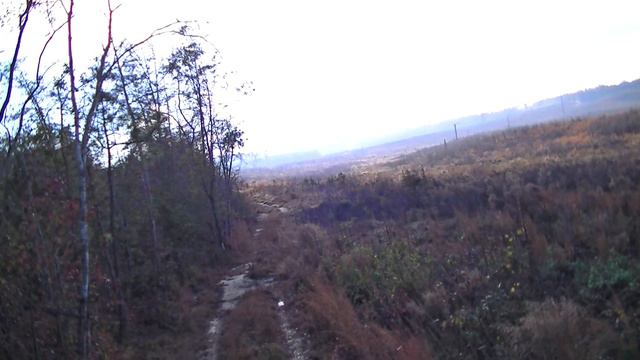 SC Deer Dog Drives 2020! Black Friday in the Cut-overs! смотреть онлайн