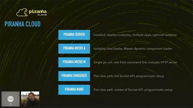 Jakarta Tech Talk-Jakarta EE & MicroProfile - Piranha Cloud - A new EE / MP runtime in progress смотреть онлайн