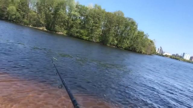 Отчет 07.05.22 Воронежское водохранилище | Фидер смотреть онлайн