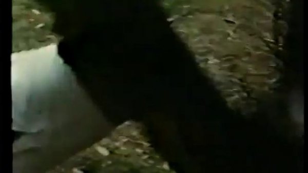 змея в тени обезьяны