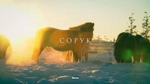 Миссия (Сорук). Документальный фильм о якутской породе лошади
