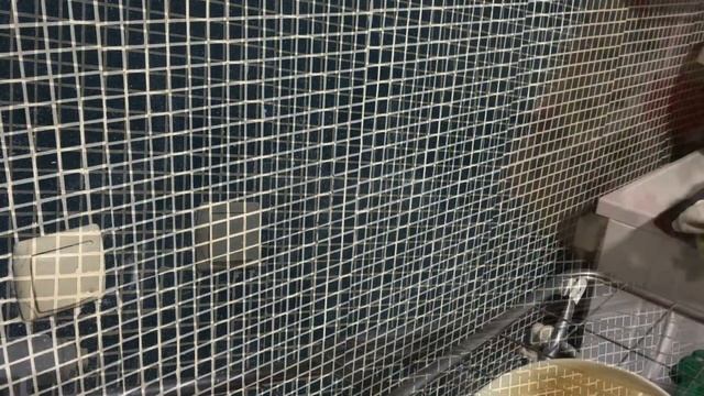 Лучшее средство от ржавчины Sanita. Обзор геля! Дешевые и полезные покупки в Фикс Прайс / Fix Price смотреть онлайн