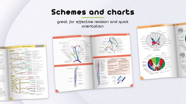 Memorix Anatomy смотреть онлайн