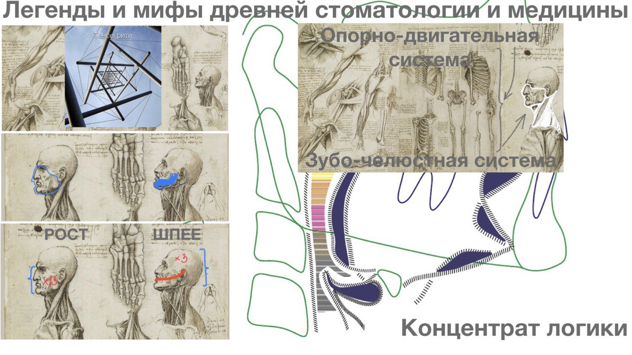 Легенды и мифы древней стоматологии и медицины | Гнатология и здоровье | Строение и функции ВНЧС