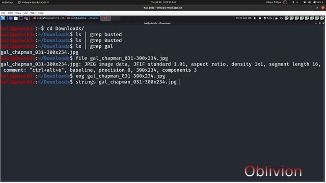 HactivityCon CTF 2020 Stegnography challenge [Busted] смотреть онлайн