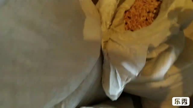 Готовлю еду курочкам на время моего отсутствия,.