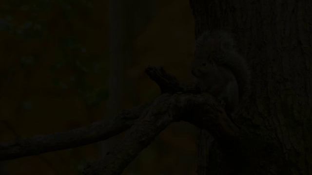 Исцеляющая музыка помогает снять стресс, усталость, депрессию, негатив, убрать негативные эмоции #8 смотреть онлайн