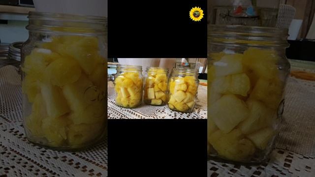 Preserving Fresh Pineapples for the Pantry смотреть онлайн