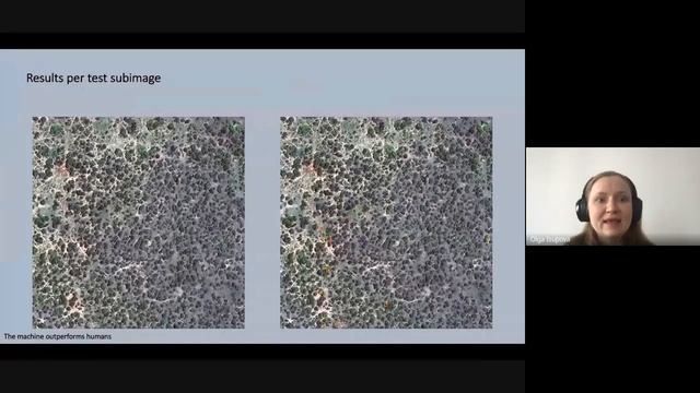 Using Very High-Res Satellite Imagery and Deep Learning/Machine Learning to detect African Elephant смотреть онлайн