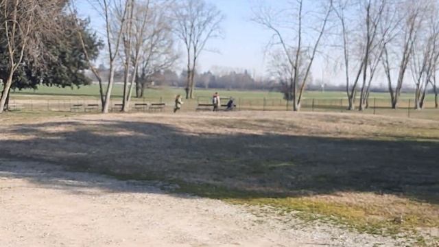 Ребята! Сама не верю, но этому Кастеллушке дают 1300 лет жизни! И кстати- кирпич здесь рассыпается