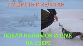 РЫБАЛКА НА ОЗЕРЕ Я БЫЛ В ШОКЕ, ОН ПРИШЕЛ И ЗАБРАЛ ЕЕ!!!! смотреть онлайн