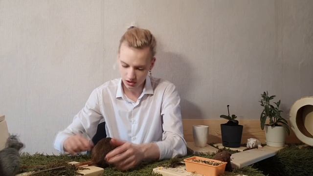 Редкие Крысы и Дегу смотреть онлайн
