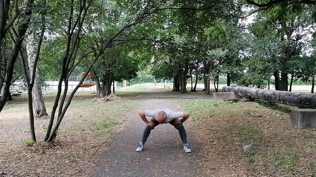 Восемь кусков парчи, Ба Дуань Цзин, Eight Pieces Of Brocade,《八段锦》, Цигун