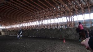 Конная Тренировка БЕЗ СТРЕМЯН Строевой Рысью ? | VLOG