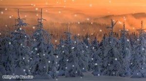 Тихо тихо сказку напевая...  Зимняя сказка
Автор видео: Весёлые песни