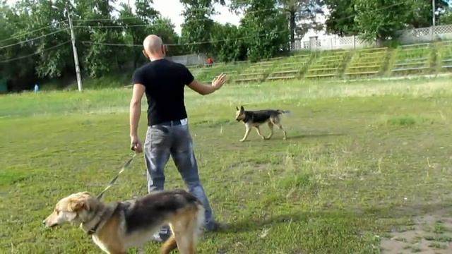 Язык тела смотреть онлайн