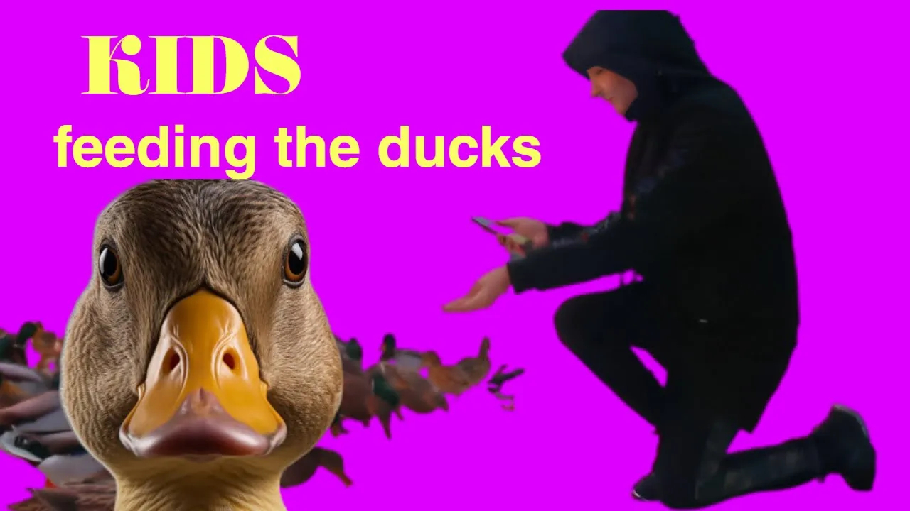 Кормим уток с KIDS смотреть онлайн