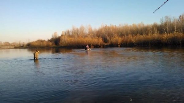 Заплыв, как на лодке!!! RM GAMAX AX 600!