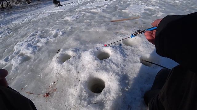 Ловля плотвы в марте На безмотылку отличный клев! смотреть онлайн