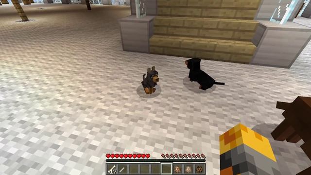 Minecraft PET DOG MOD / ENJOY THE COMPANY OF LOADS OF DOG PETS!! Minecraft смотреть онлайн