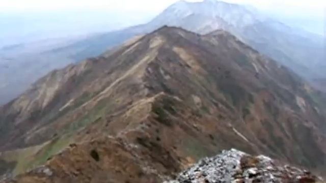 2010 фев солянка смотреть онлайн