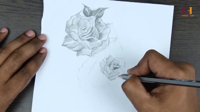 DRAWING ROSE - Beautiful Rose Sketching by Sketch Master смотреть онлайн