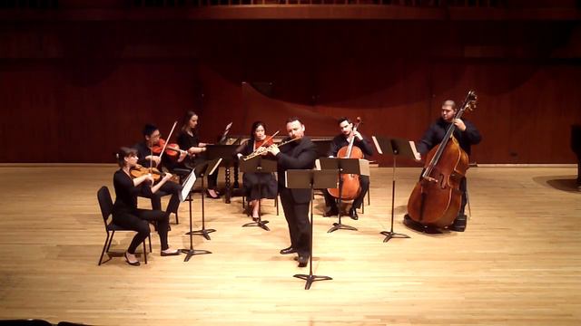 Giuseppe Sciuto, flute - Vivaldi Concerto in Fa major, 