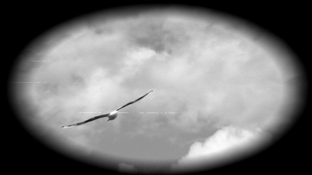 Когнитивность