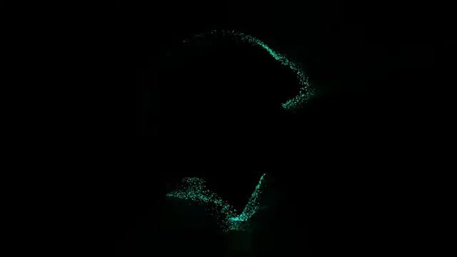 Form React After effects смотреть онлайн