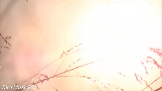 JVC Everio GZ-E100, Focusing And Lens Flare Test. (Full-HD) смотреть онлайн