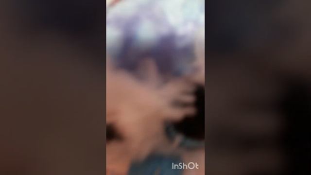 все мои мягкие игрушки  Ty❤