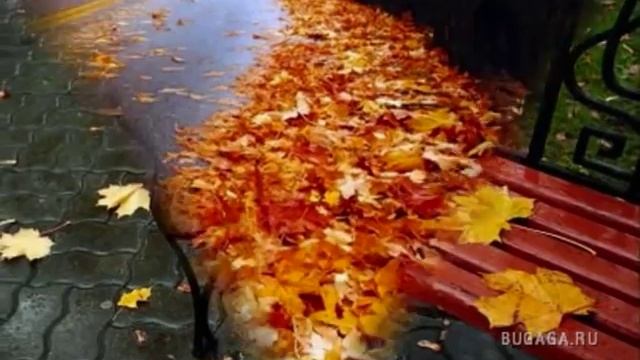 Осень - женщина за 40... смотреть онлайн