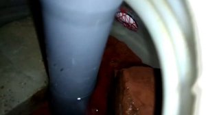 Запуск биофильтра из бочки