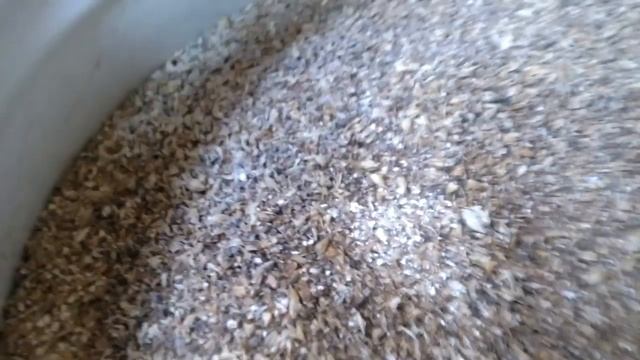 Самодельная вальцевая мельничка для солода от Максима смотреть онлайн