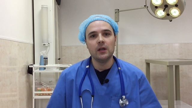 Шерсть в желудке у кошки: как вывести, лечение, профилактика смотреть онлайн