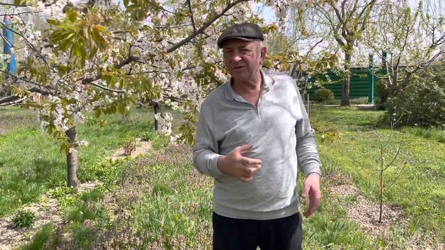 Откровения Дока смотреть онлайн