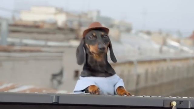 Диджей смотреть онлайн