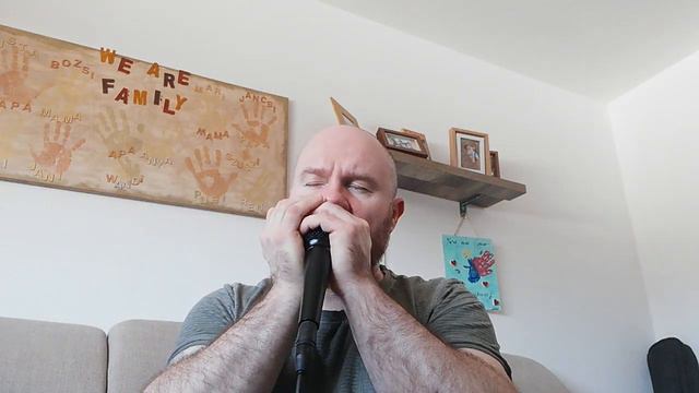 Little Bitty - Low D Harmonica смотреть онлайн