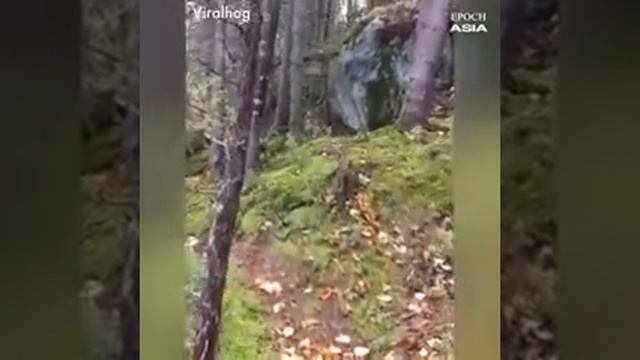 Чудеса Аллаха.☝️☝️☝️ смотреть онлайн