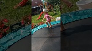 к бабушке на дачу приехали