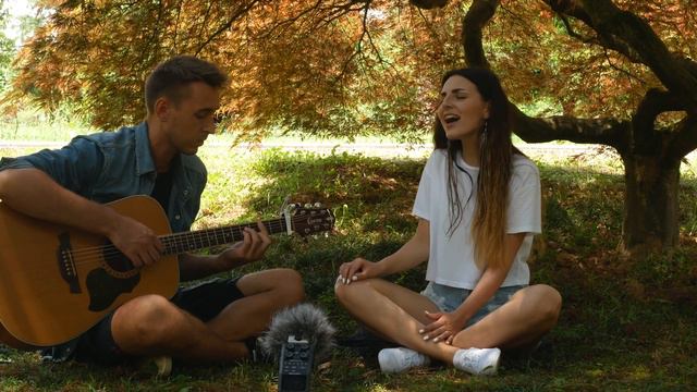 Три полоски | Animal Джаz | кавер смотреть онлайн